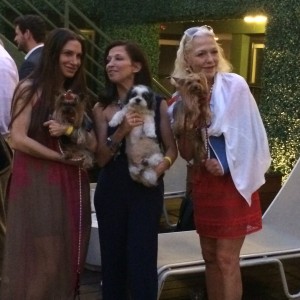 Guests mingling at the event with their dogs